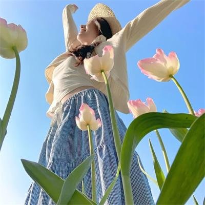 凤女龙驹